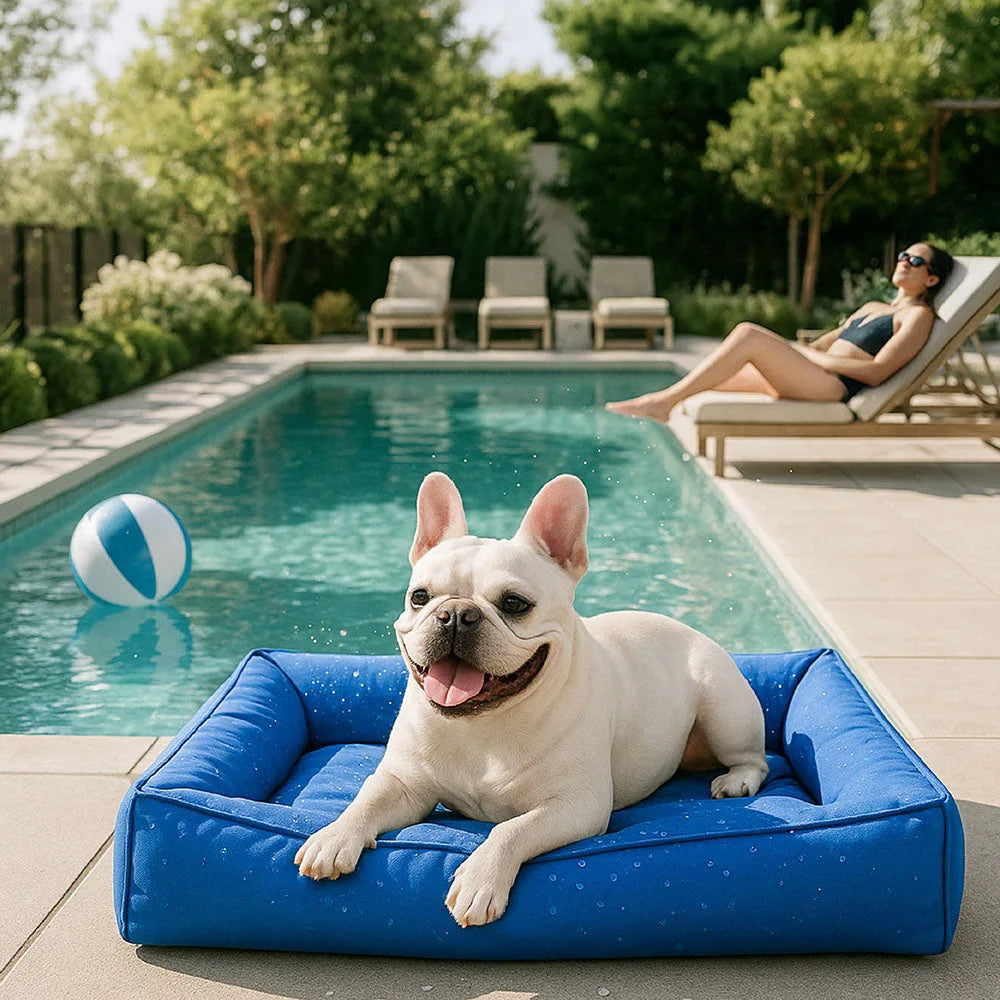 Remipaw Summer Cooling Dog Bed – Waterproof, Washable Bolster Bed for Small, Medium & Large Dogs