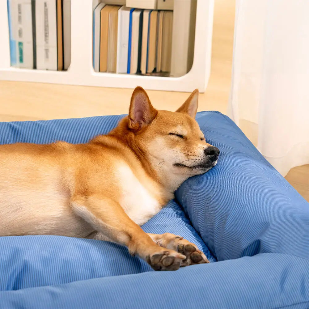 Remipaw Summer Cooling Dog Bed – Waterproof, Washable Bolster Bed for Small, Medium & Large Dogs