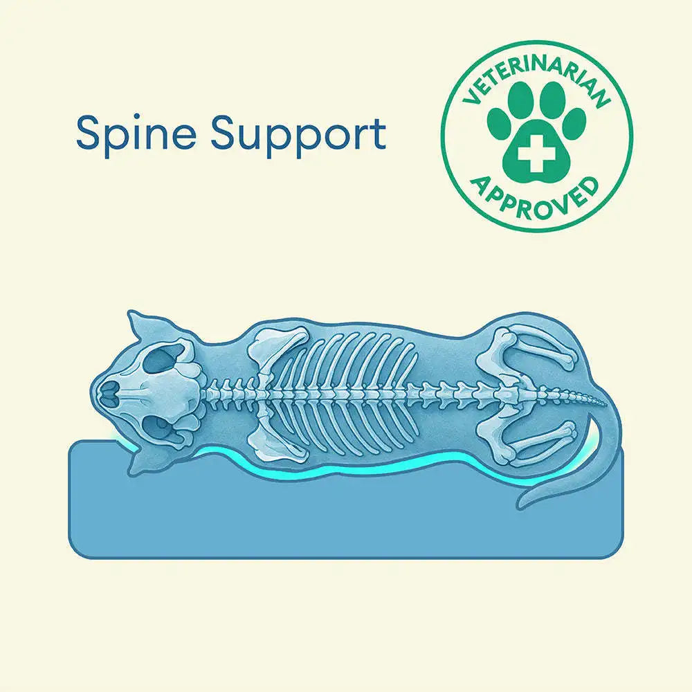 Remipaw Summer Cooling Dog Bed – Waterproof, Washable Bolster Bed for Small, Medium & Large Dogs